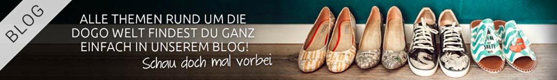 Hier gehts zu unserem DOGO Blog