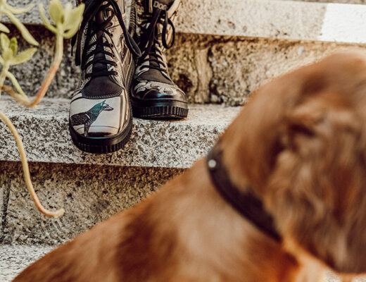 Abbildung von DOGO-Schuhen mit Hundemotiv und einem Hund