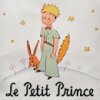 DOGO Le Petit Prince