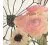 DOGO Flowers
