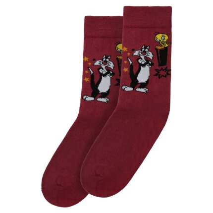Bunte Socken mit schönen Motiven und kreativen Designs - DOGO Socken - Best of Tweety and Sylvester im DOGO Onlineshop bestellen!