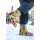 DOGO Boots - The Creation of the Collage