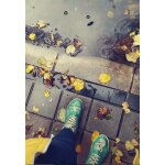 DOGO Boots - koala 37